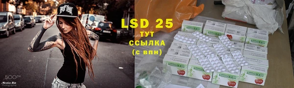 PSILOCYBIN Зеленодольск