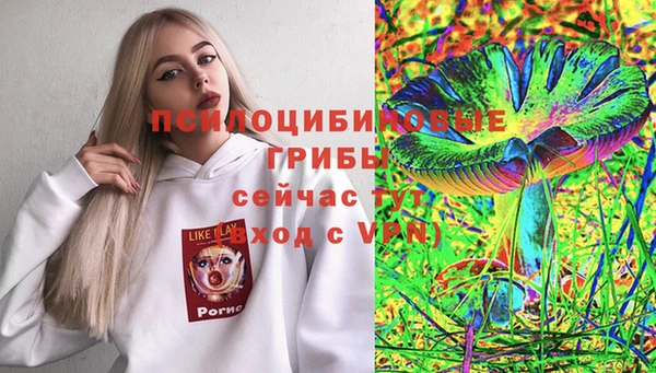 PSILOCYBIN Зеленодольск