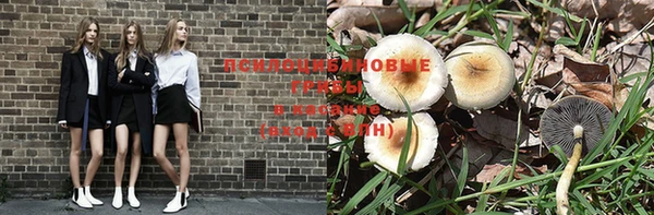 PSILOCYBIN Зеленодольск