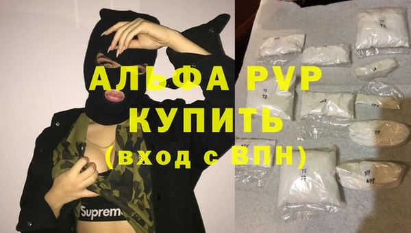 PSILOCYBIN Зеленодольск