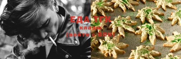 крисы Пенза