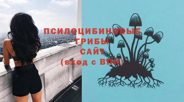 PSILOCYBIN Зеленодольск