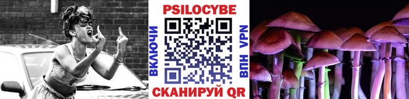 Галлюциногенные грибы Psilocybine cubensis  Заполярный 